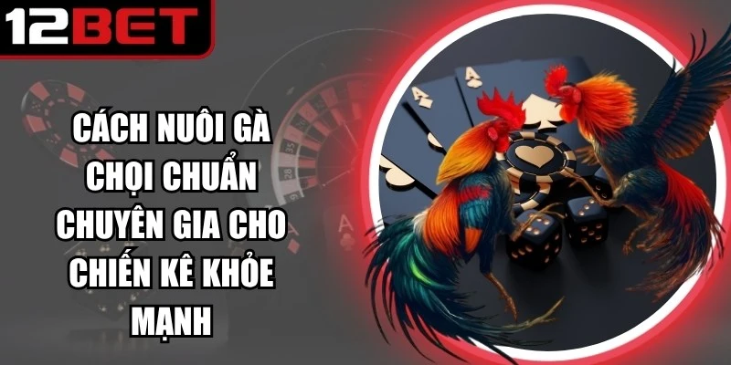 Cách Nuôi Gà Chọi